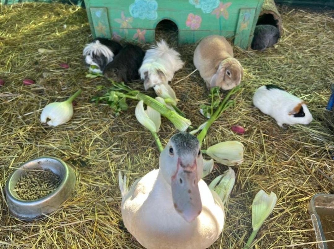 Sejour A La Ferme * Jouques