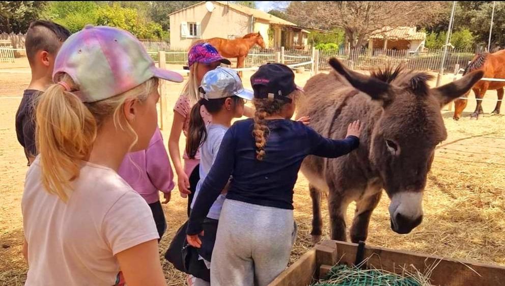 Sejour A La Ferme Farm stay