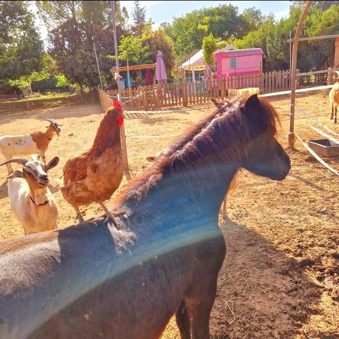 Sejour A La Ferme * Jouques